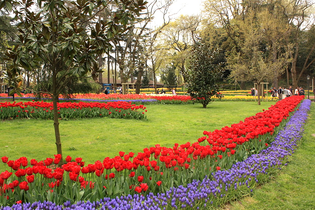 The tulip time in Istanbul